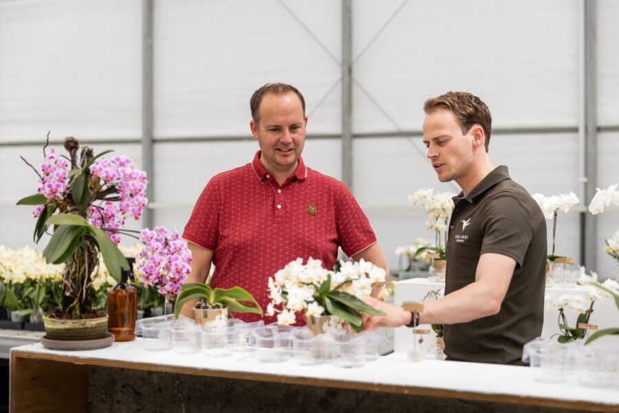 Orchid Inspiration Days 2025 - OK Plant